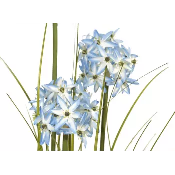 EUROPALMS Allium Grass Kunsttaim, sinine, 120 cm 82600168