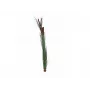 EUROPALMS Kunstlik Pilliroog Tõrvikutega, Tume Roheline, 152cm 82505854