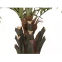 EUROPALMS Kentia Palm Deluxe kunsttaim 300cm 82511370