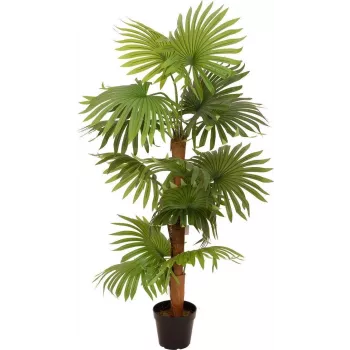 EUROPALMS kunstlik fännpalm 130cm 82509302