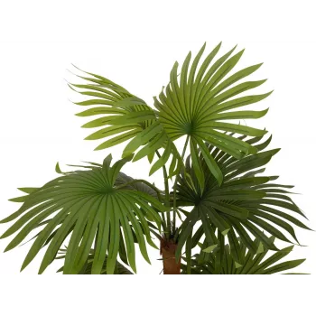 EUROPALMS kunstlik fännpalm 130cm 82509302