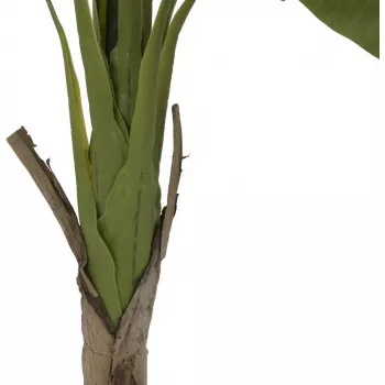 EUROPALMS kunstlik banaanipuu, 145 cm 82509504