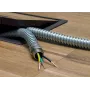 HellermannTyton SC10-GS-ML Tsingitud jäik kaabeldus (GRC) 10 mm x 3 m, teras, EN 61386-21, sise- ja välistingimustesse 166-30110