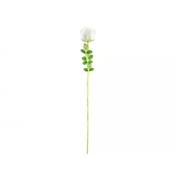 EUROPALMS Crystal Rose kunstlill, valge, 81 cm, 12 tk 82600208