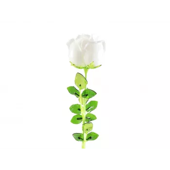 EUROPALMS Crystal Rose kunstlill, valge, 81 cm, 12 tk 82600208