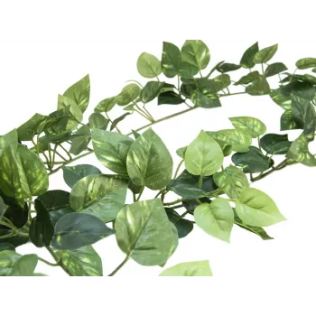 EUROPALMS Pothos vanik Classic, kunstlik, 180cm 82503728