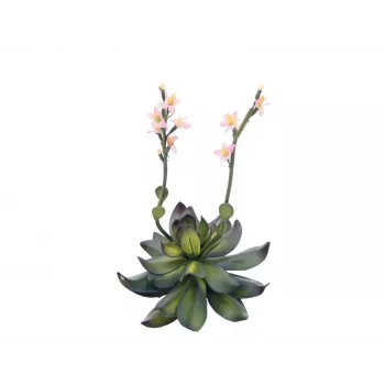 EUROPALMS Stone Rose (EVA) kunsttaim, roosa, 32cm 82530572