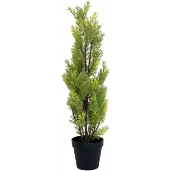 EUROPALMS Leylandi kunsttaim, 60cm 82606959
