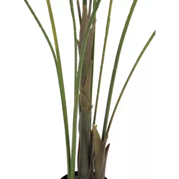 EUROPALMS Großblatt-Areca kunstlik Areca palm, 185 cm (82509442)