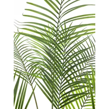 EUROPALMS Großblatt-Areca kunstlik Areca palm, 185 cm (82509442)