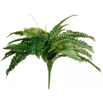 EUROPALMS Boston Fern Kunsttaim, 53cm, Roheline 82519934