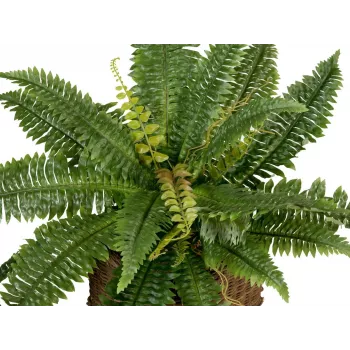 EUROPALMS Boston Fern Kunsttaim, 53cm, Roheline 82519934