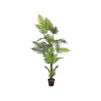 EUROPALMS Areca Palm Kunsttaim 180cm 82509415