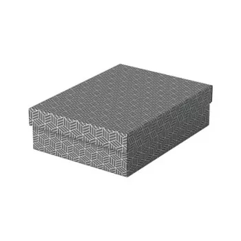 Esselte Home hoiu- ja kingikarp M, 3-osaline komplekt, hall, 100% taaskasutatud lainepapp, eemaldatav kaas 628285