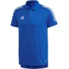 adidas Condivo 20 meeste polosärk Team Royal Blue/White ED9237 suurus S