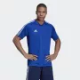 Adidas Tiro 19 treeningusärk lühikeste varrukatega polüester must/valge meeste S