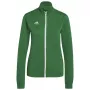 adidas Entrada 22 Dressijope Roheline HI2136 S