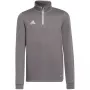 adidas Entrada 22 treeningpluus lastele, hall, H57549, suurus 140