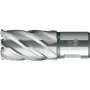 BDS HSS-i südamikpuur 18 mm lõikesügavus 30 mm Weldoni varrega KBK-018
