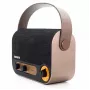 AIWA RBTU-600 kaasaskantav Bluetooth-raadio FM, USB, AUX-sisendiga, MicroSD ja laetava akuga