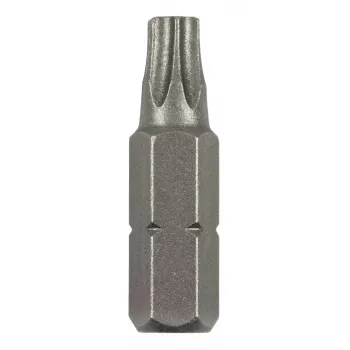 Bosch Torx-otsik T 8 C 6.3 2 tk (2609255931)