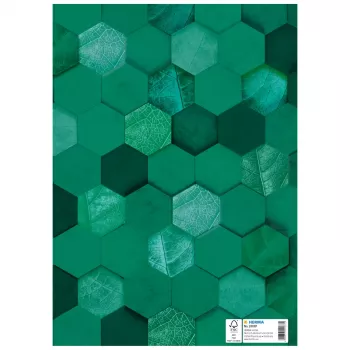 HERMA X õpikukaaned, papp, DIN A4, tumeroheline, 10 tk 20087