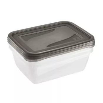 keeeper fredo fresh toidukarpide komplekt, 3x 1,25 L, ristkülikukujuline, läbipaistev põhi ja hall kaas 3067582700000