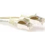 ACT elevandiluu 3m S/FTP CAT6A snagless patch-kaabel (FB6003)