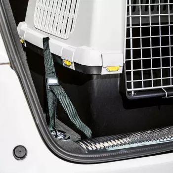 STEFANPLAST auto turvavööd Gulliver Touring lemmikloomakandjale (3 tk)