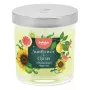 BOLSIUS Floral Fusion lõhnav küünal klaaspurgis, päevalill ja tsitrus, Ø80x72mm