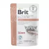 BRIT VD Renal kassitoit kotike - märg kassitoit - 12x85g