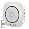 MOES WSS-S-GL Wi-Fi gaasiandur