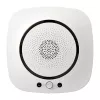 MOES WSS-S-GL Wi-Fi gaasiandur