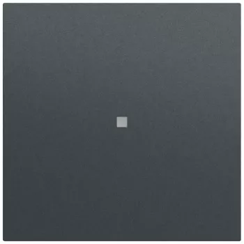 Gira System 70 klahv juhtaknaga, antratsiit (329073)