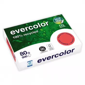 Clairefontaine EVERCOLOR 40259C A4 mitmeotstarbeline paber 80 gsm valge 500 lehte