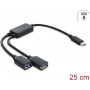Delock 2-pordiline USB 5 Gbps Type-A kaablihub USB Type-C™ pistikuga 25 cm (64373)