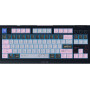 Razer BlackWidow V4 Tenkeyless HyperSpeed juhtmevaba mänguklaviatuur, US, Orange Switch, Wuthering Waves Edition