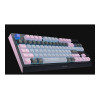 Razer BlackWidow V4 Tenkeyless HyperSpeed juhtmevaba mänguklaviatuur, US, Orange Switch, Wuthering Waves Edition