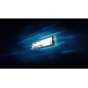 Kingston NV3 500GB M.2 2280 PCIe 4.0 x4 NVMe sisemine SSD (SNV3S/500GBK)