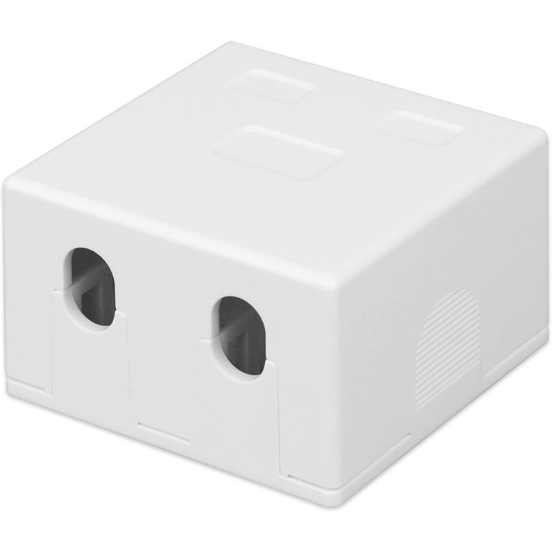 Techly 366310 pealepandav seinakarp 2 Keystone moodulile RJ45 või RJ11/12