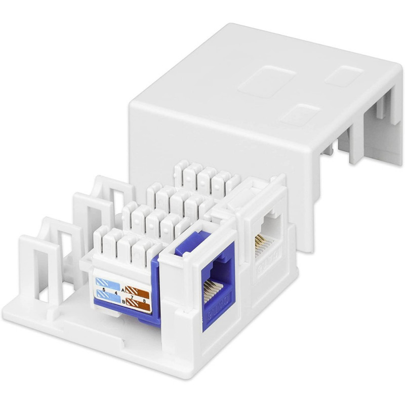 Techly 366310 pealepandav seinakarp 2 Keystone moodulile RJ45 või RJ11/12