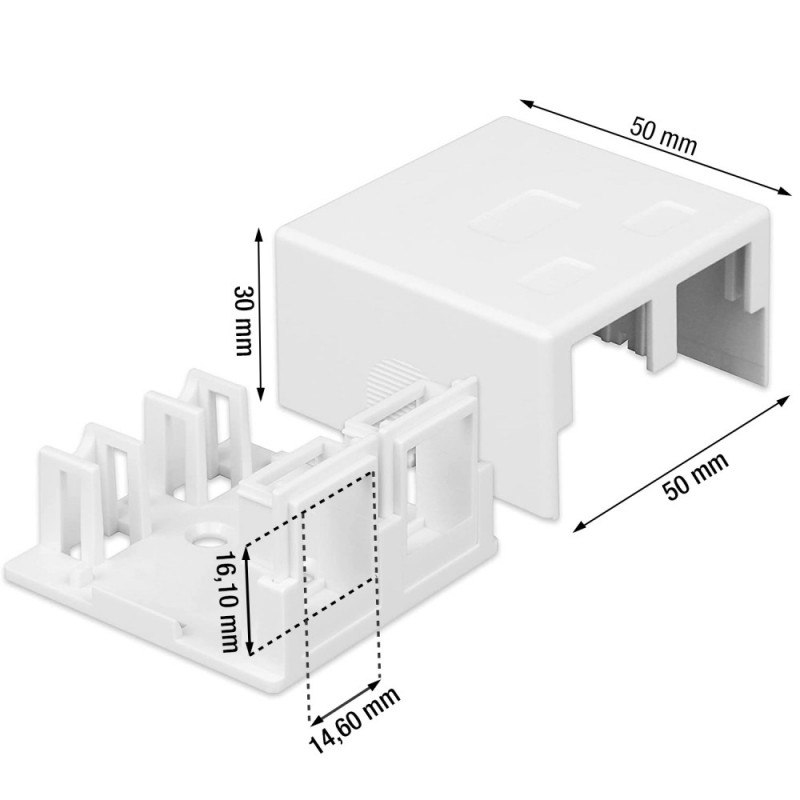 Techly 366310 pealepandav seinakarp 2 Keystone moodulile RJ45 või RJ11/12