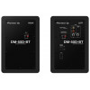 Pioneer DM-50D-BT kõlar 2-teeline must traadiga ja traadita 50 W