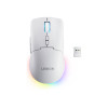 Lenovo Legion M220 RGB juhtmevaba mänguhiir, 2,4 GHz / Bluetooth / juhtmega, Glacier White (GY51V60437)