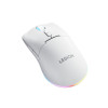 Lenovo Legion M220 RGB juhtmevaba mänguhiir, 2,4 GHz / Bluetooth / juhtmega, Glacier White (GY51V60437)
