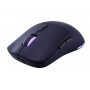 Lenovo Legion M220 RGB juhtmevaba mänguhiir, 2,4 GHz / Bluetooth / juhtmega, Nebula Purple (GY51V60439)