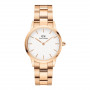 Daniel Wellington DW00100209 naiste käekell, 36 mm