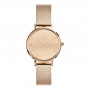 Daniel Wellington DW00100795 naiste käekell, 28 mm