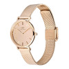 Daniel Wellington DW00100795 naiste käekell, 28 mm