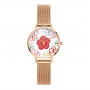 Daniel Wellington DW00100722 naiste kell, 36 mm